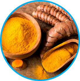 Himalayan Turmeric